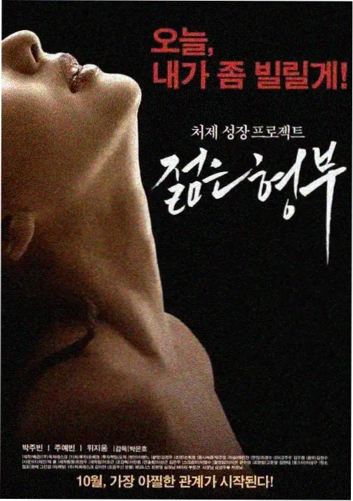 韩国三级片首尔未眠剧集海报